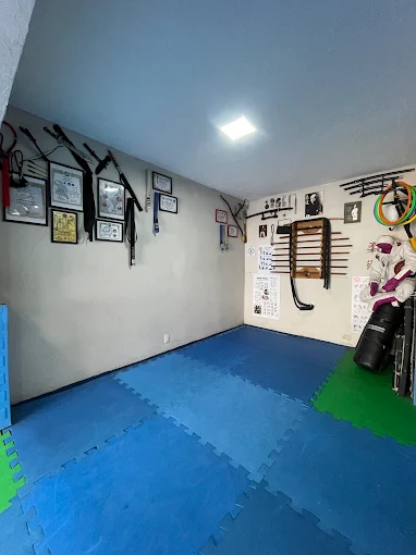 Área Principal do Dojo e Dojang com Tatame e Saco de Impacto